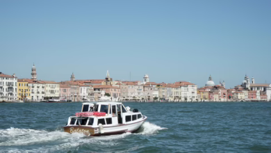 Boot Im Markusbecken Vor Venedig