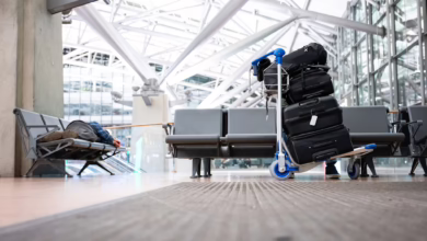 Koffer Liegen Auf Einem Kofferwagen Vor Einem Wartenden Passagier