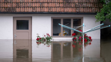 Von Hochwasser überfluteter Garten Vor Einem Haus