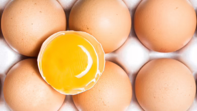 Eier Liegen In Einem Karton