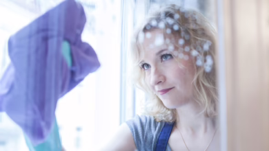 Frau Putzt Fenster