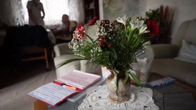 Pflegefachkraft In Der Ambulanten Pflege Hilft Einer Klientin