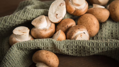 Champignons Liegen Auf Einem Küchentuch