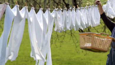 Weiße Wäsche Wird Zum Trocknen Im Garten Aufgehangen
