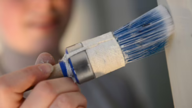 Frau Streicht In Einer Wohnung