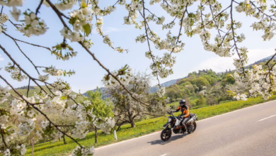 Ein Motorradfahrer Fährt Auf Einer Landstraße