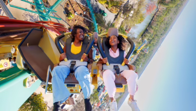 Achterbahn «wingcoaster Rapterra» Im Kings Dominion