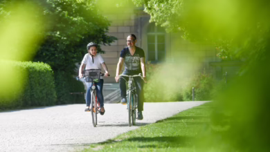 Radfahrer In Einem Park