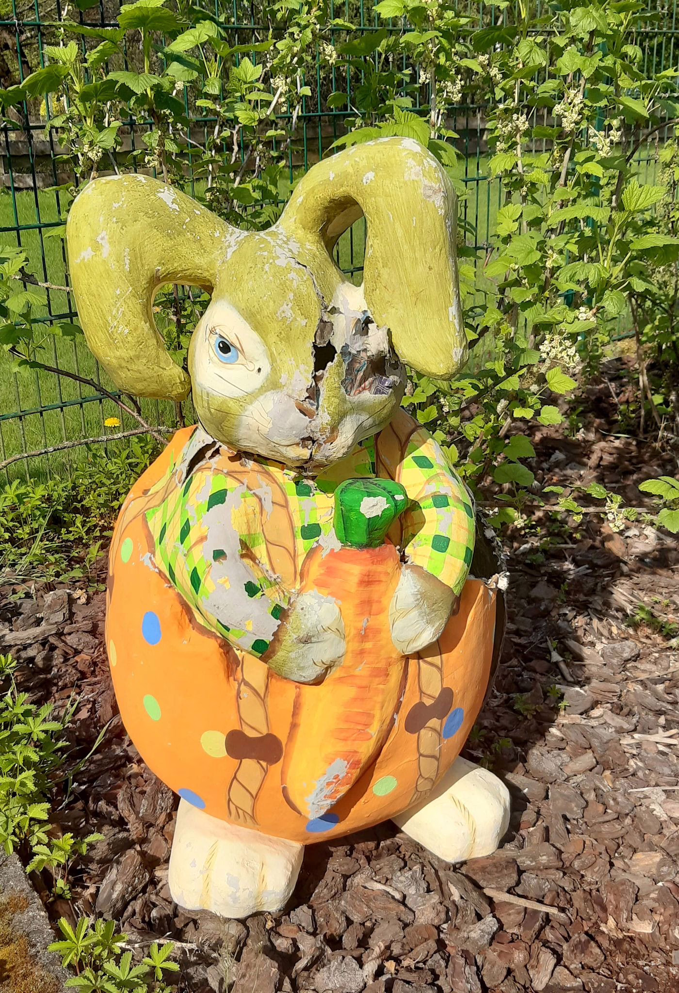 Waschbären Nachwuchs Im Osterhasen