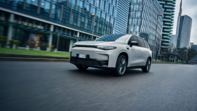 Fahransicht Leapmotor C10