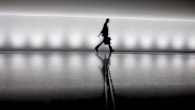 Eine Person Geht Vom Reichstagsgebäude Zum Paul Löbe Haus