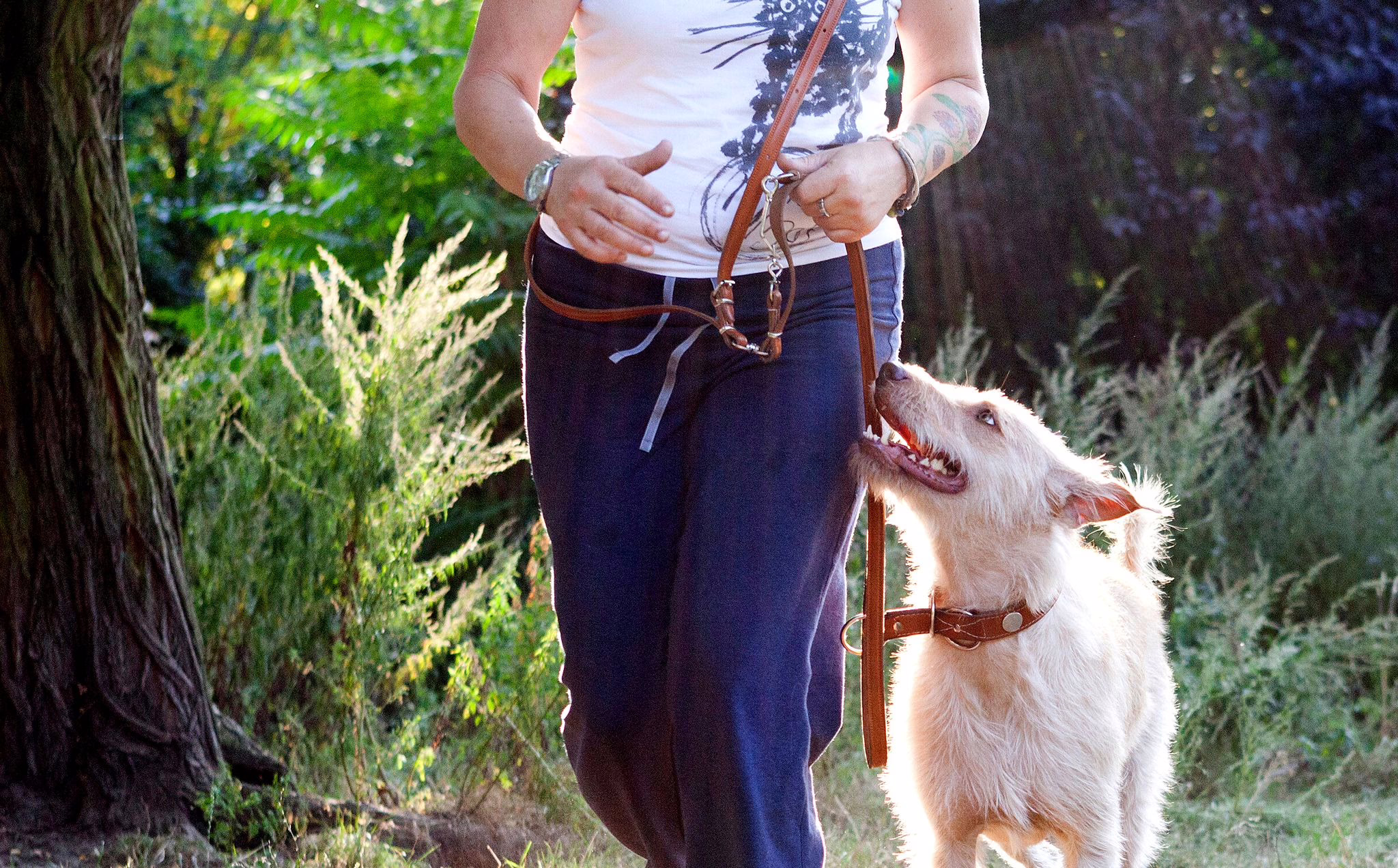 Eine Frau Geht Mit Einem Hund Spazieren