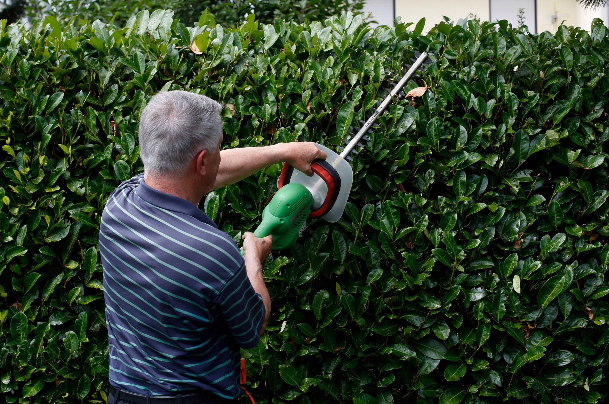 Mann Schneidet Eine Hecke