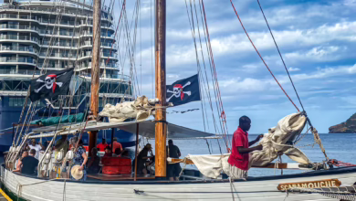 Kreuzfahrtschiff Und Schoner Am Anleger In St. Vincent