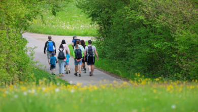 Familie Wandert Im Sonnenschein Durch Die Natur