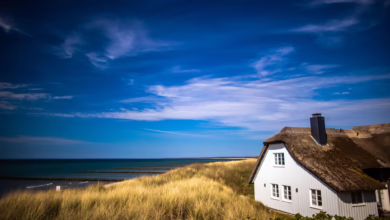 Ferienhaus In Mecklenburg Vorpommern