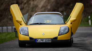 Frontansicht Renault Spider