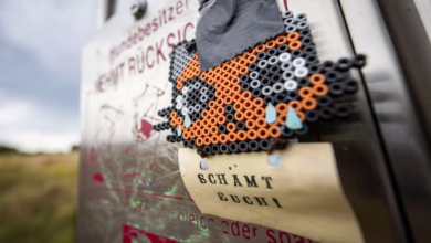 Ein Steckperlen Bild Mit Dem Zusatz „schämt Euch!“