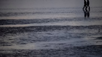 Spaziergänger Laufen Durch Das Watt