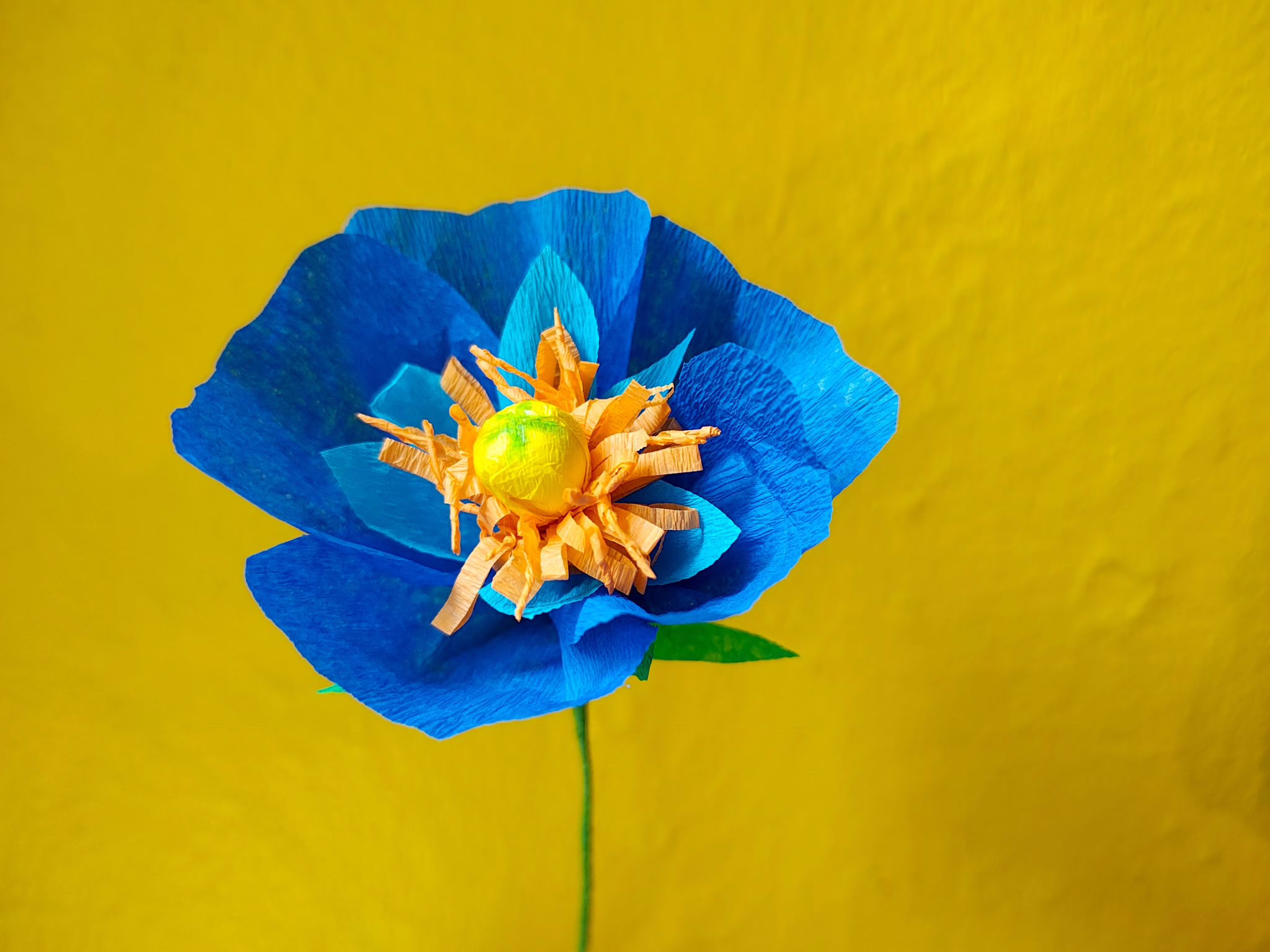 Blume Aus Krepppapier