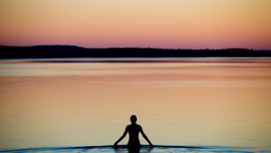 Frau Badet An Einem Sommerabend Im Brombachsee