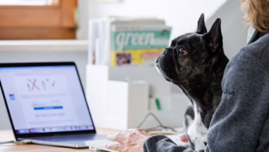 Eine Frau Arbeitet Mit Einem Hund Auf Dem Schoß Am Laptop