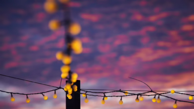 Sommerabend In Berlin