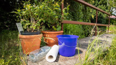 Lifehack Pflanzen Bewässern Im Urlaub