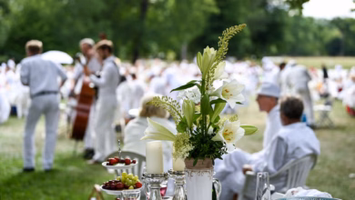 «picknick In Weiß» Im Oranienburger Schlosspark