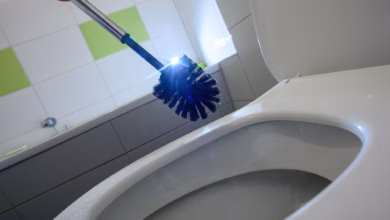 Eine Glänzende Klobürste über Einer Toilettenschüssel