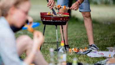 Gruppe Grillt Im Park