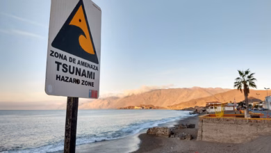Tsunami warnschild an einem strand in chile