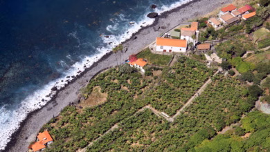 Aufnahme Vom Weingut Fajã Dos Padres Von Der Seilbahn