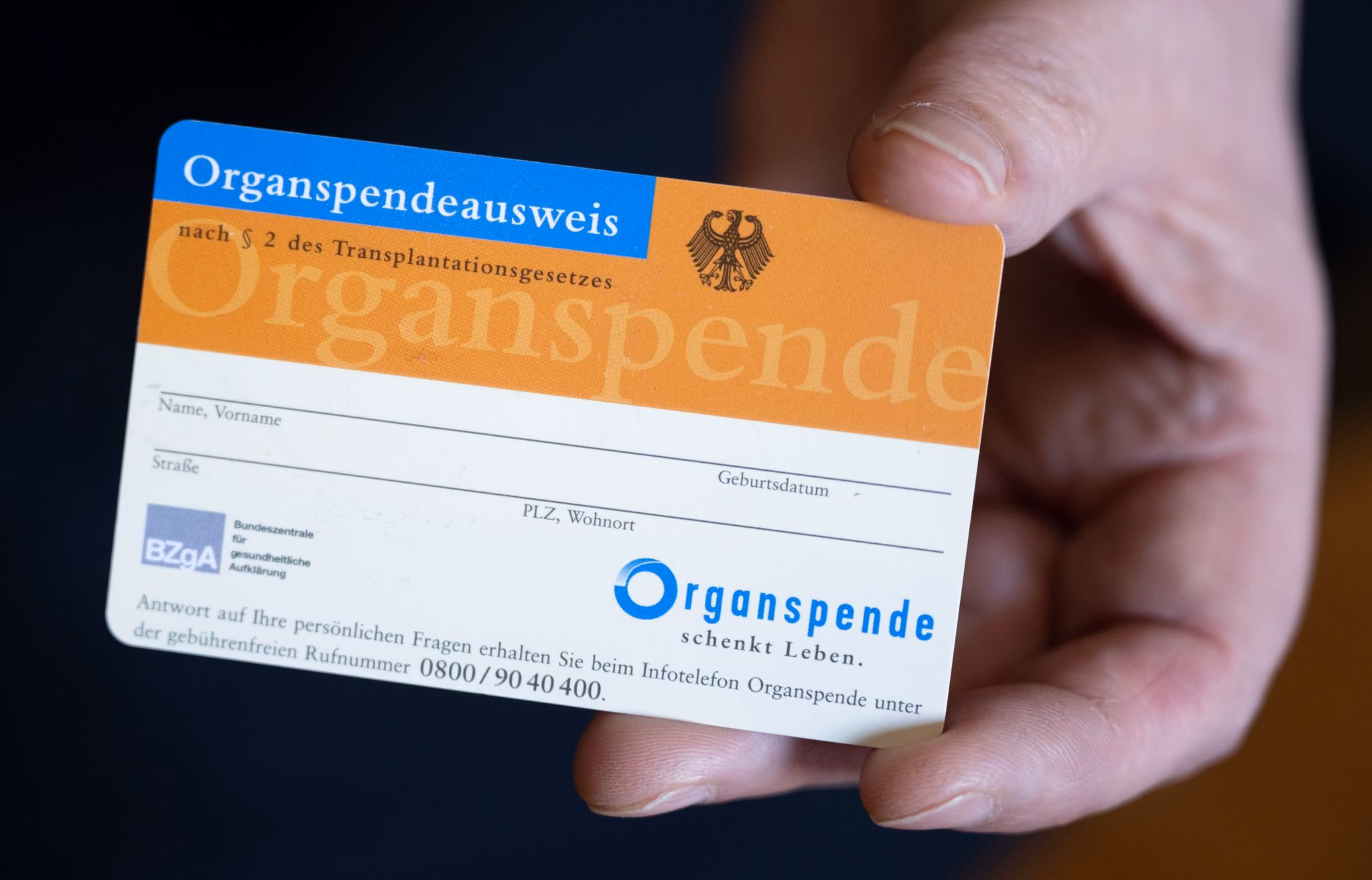 Frau Hält Einen Organspendeausweis In Der Hand