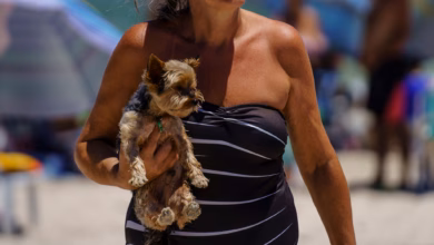 Eine Frau Trägt Ihren Hund Am Strand In Den Armen