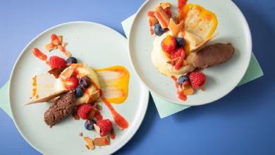 Mangoeisring Mit Schokoladenmousse Und Fruchtpürree