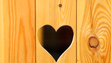 Die Tür Eines Toilettenhäuschens Mit Herzförmigen Loch Im Holz