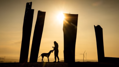 Eine frau spielt mit ihrem hund bei sonnenaufgang