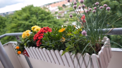 Blumenkasten Auf Dem Balkon