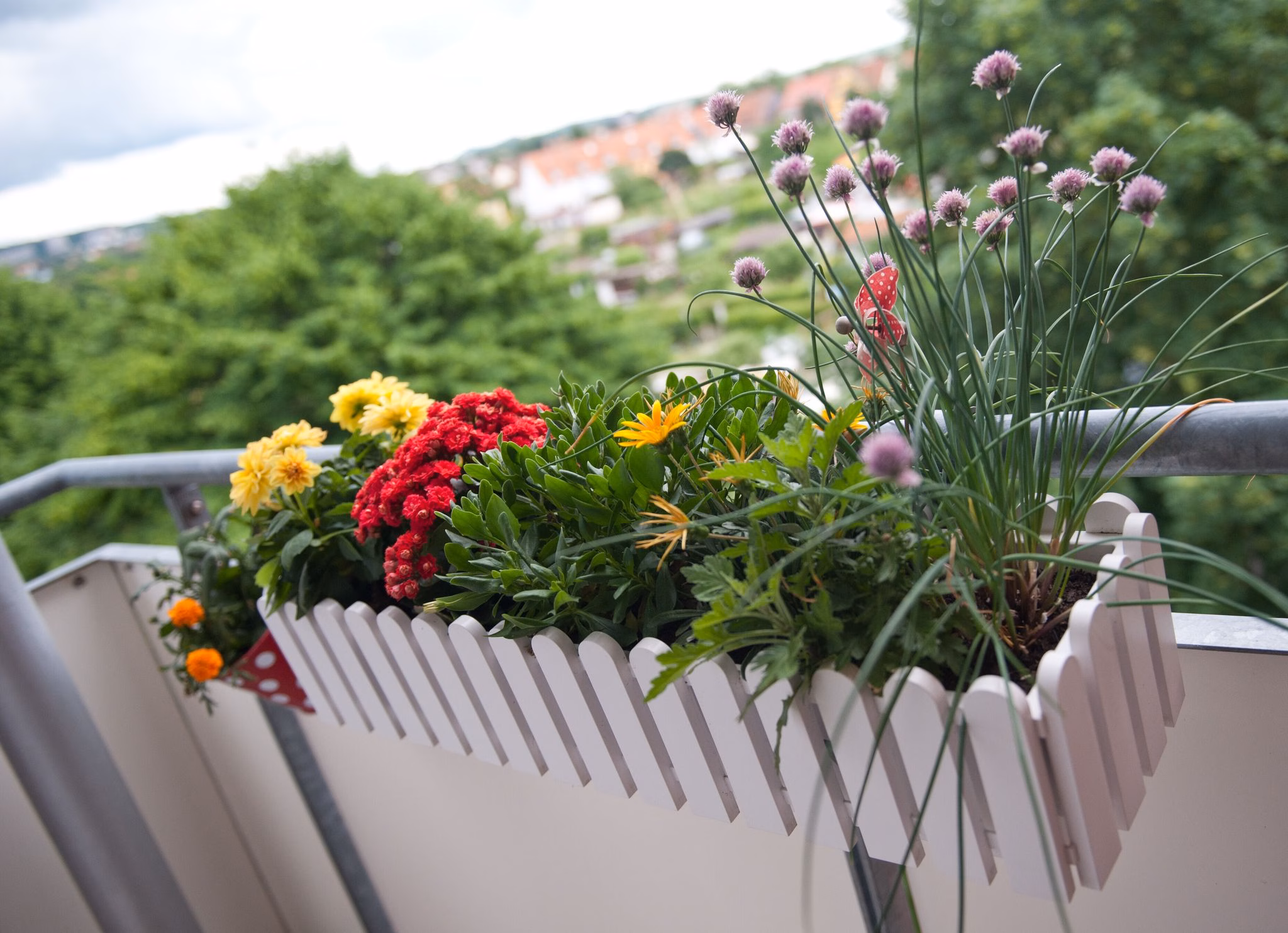 Blumenkasten Auf Dem Balkon
