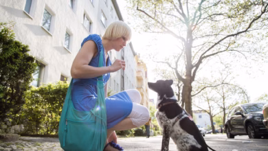 Frau trainiert bei einem spaziergang mit ihrem hund kommandos