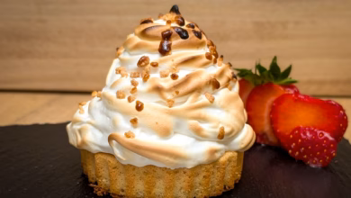 Fertiges gegrilltes eis mit goldbraunem baiser