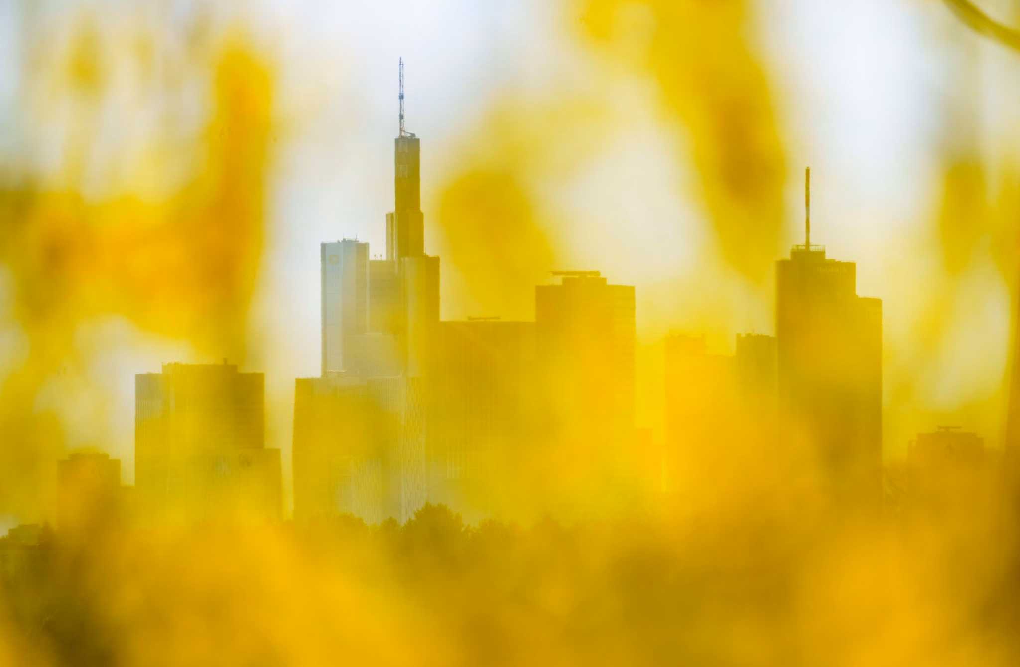 Frankfurter skyline
