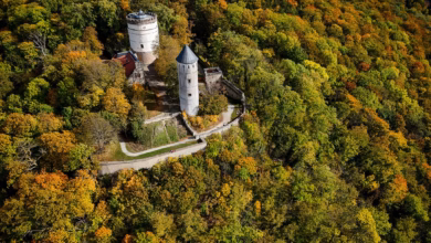 Burg plesse im herbstlichen wald