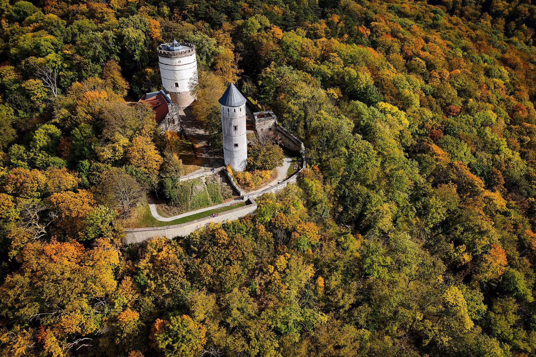 Burg plesse im herbstlichen wald