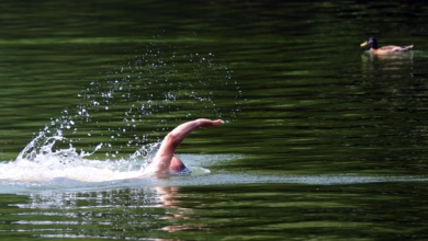 Mann schwimmt über den plötzensee