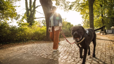 Frau geht mit ihrem hund im park spazieren