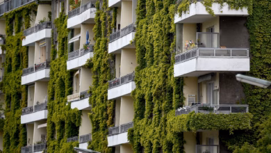 Wilder wein wächst an der fassade eines hauses