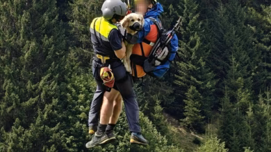 Hündin per hubschrauber aus steilem gelände geborgen
