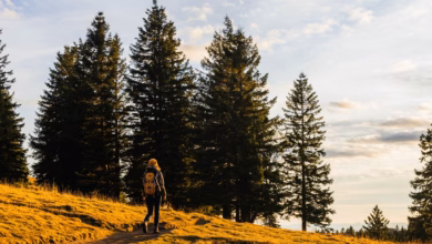 Eine frau wandert am feldberg